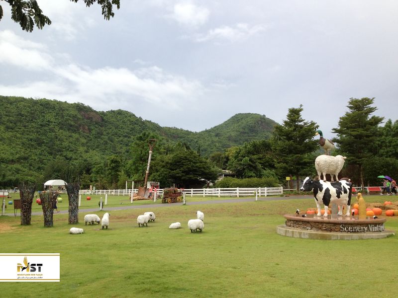 The Scenery Vintage Farm