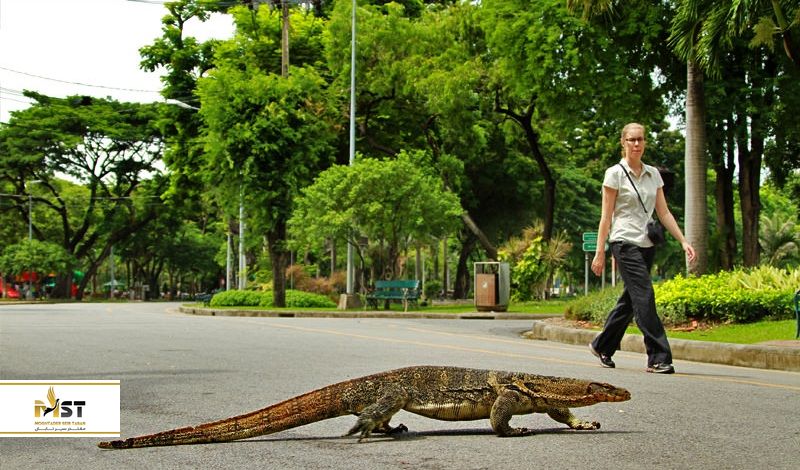 پارک لومفینی