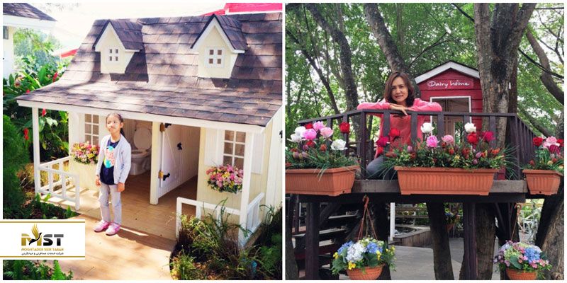 Dairy Home Farm Shop