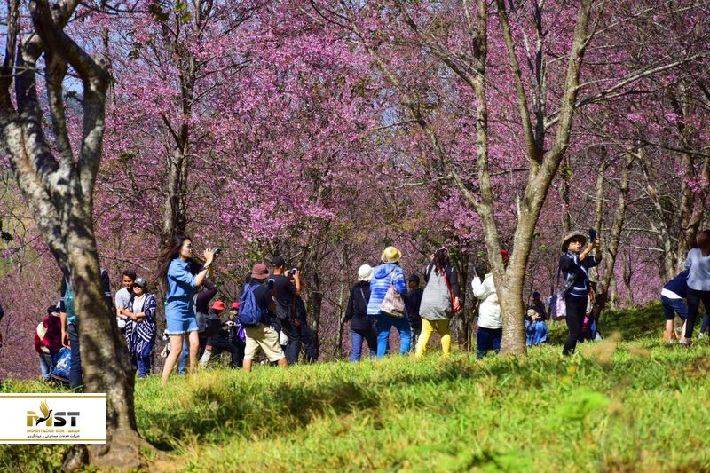 پارک ملی بانکوک