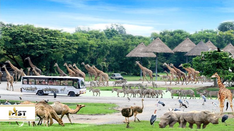 سافاری ورلد بانکوک