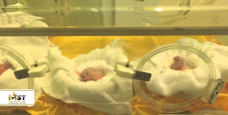 دانستنی حیوانات