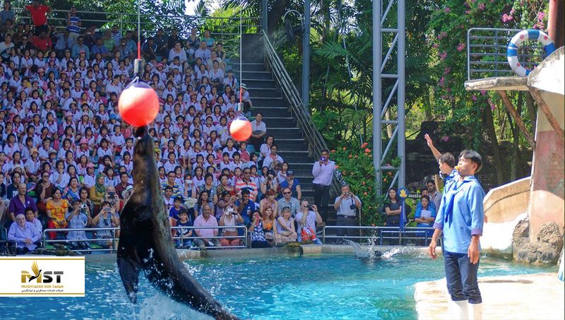 هنرنمایی دلفین ها در بانکووک