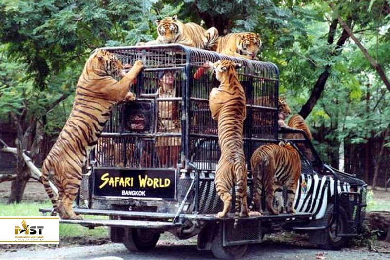 حیوانات وحشی در سافاری ورلد