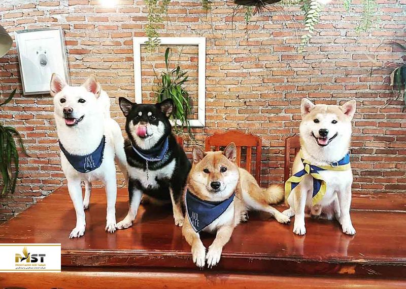 شهر رویایی هوا هین