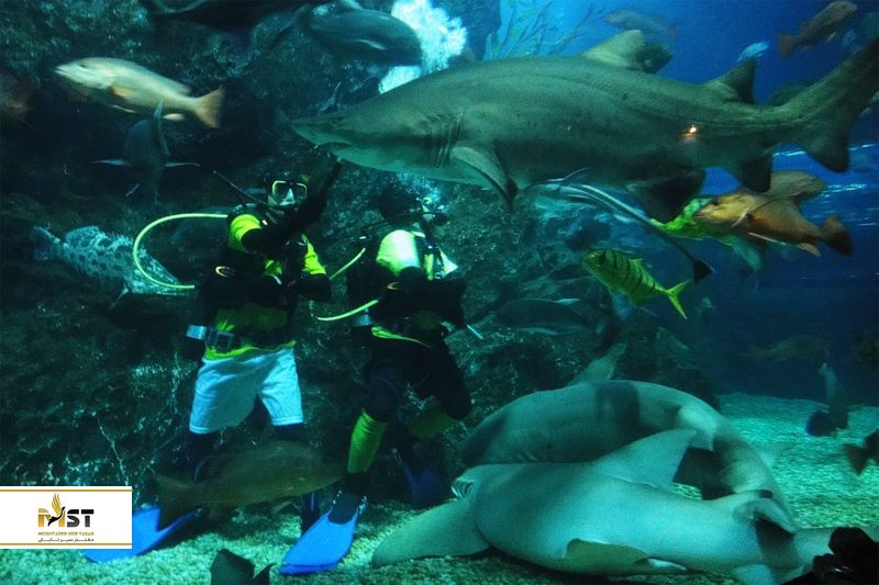 سفر به بانکوک