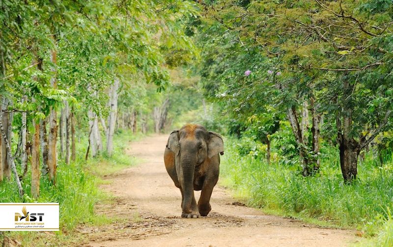 پارک ملی Kui Buri