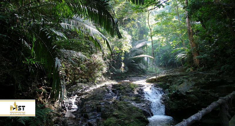 پارک ملی خائو پانوم بنچا