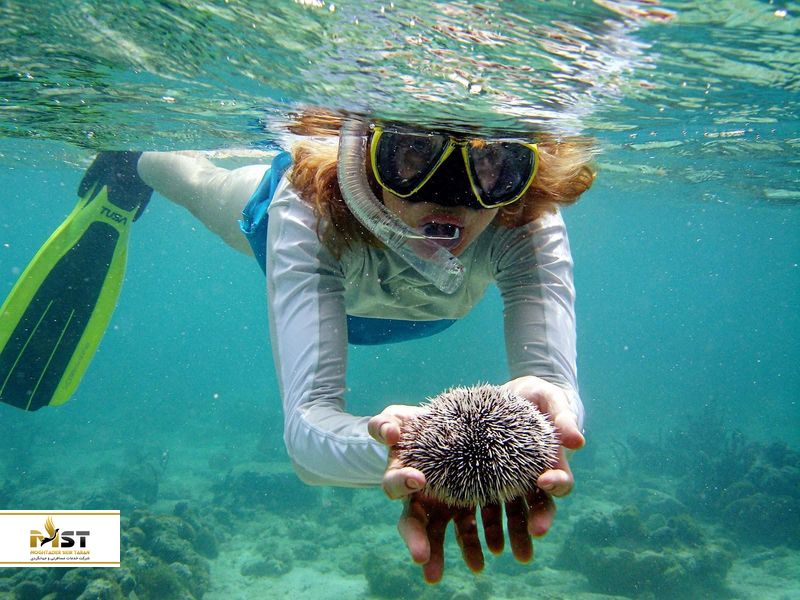  غواصی در کرابی