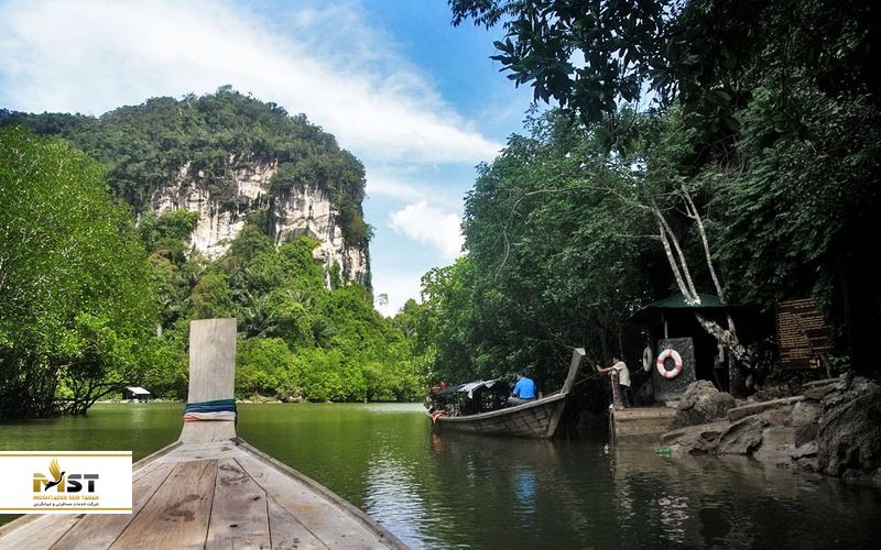 جنگل A O Luk در کرابی