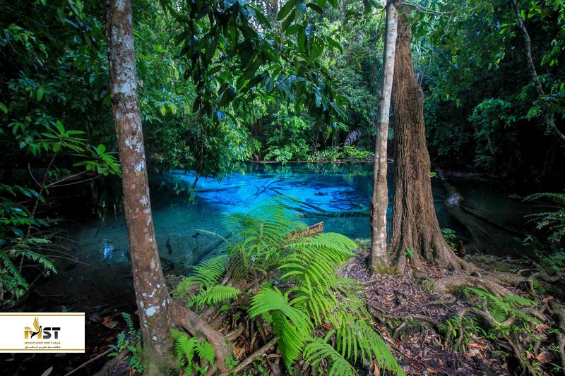 استخرهای زمردین کرابی