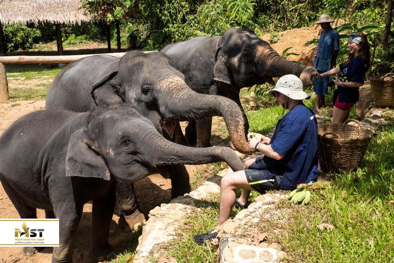 پناهگاه فیل کرابی