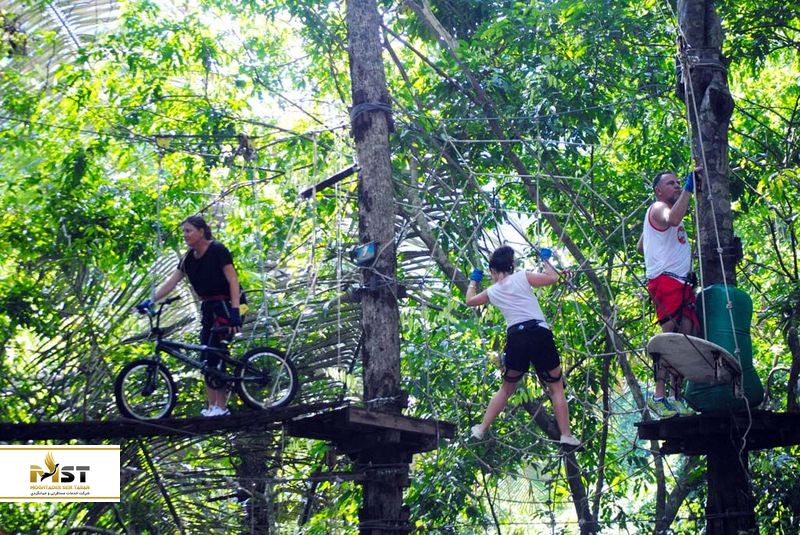 پارک Treetop Adventure
