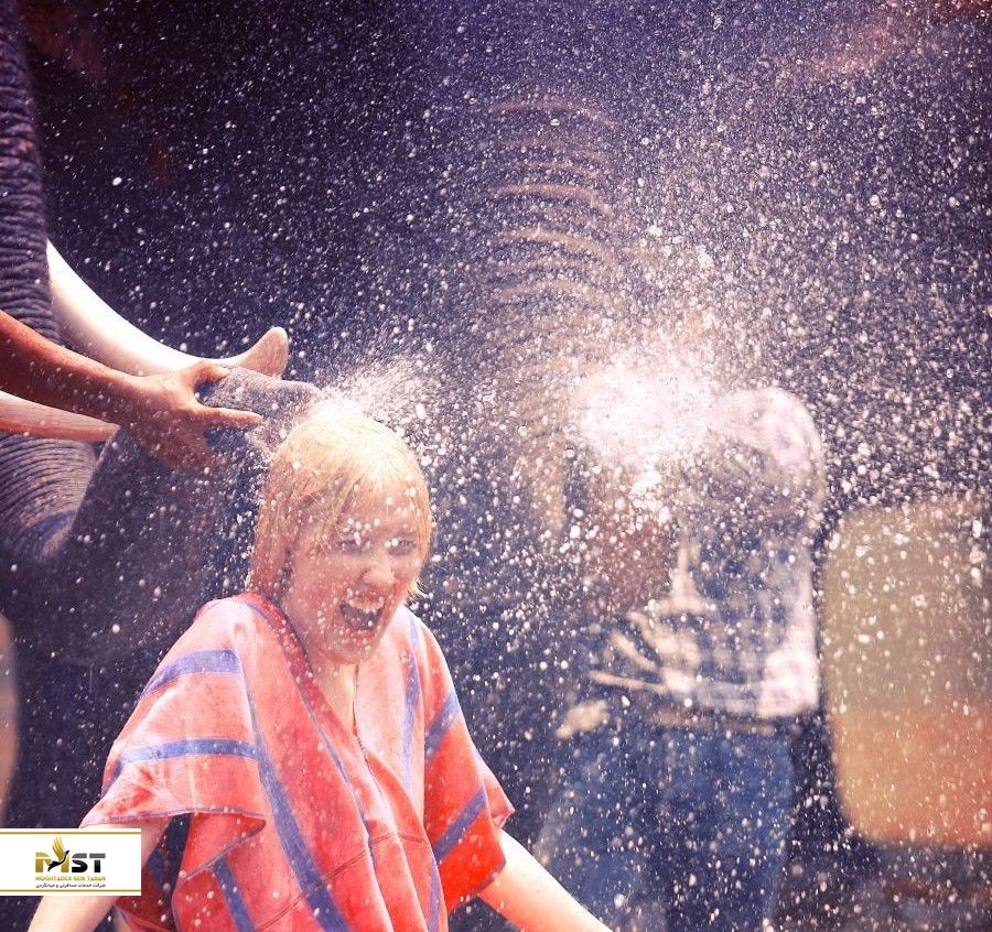 آشنایی با فیل ها