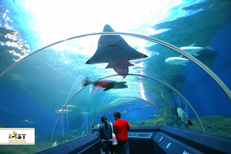 جهان زیر آبهای پاتایا