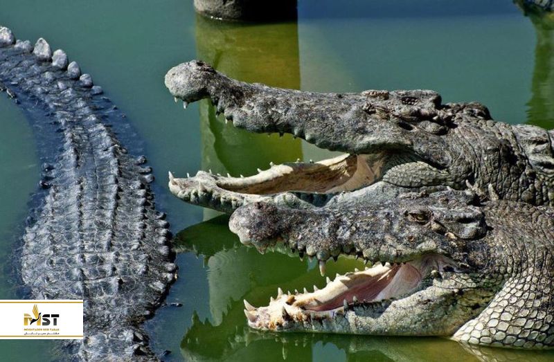 پارک میلیون یرز استون پاتایا