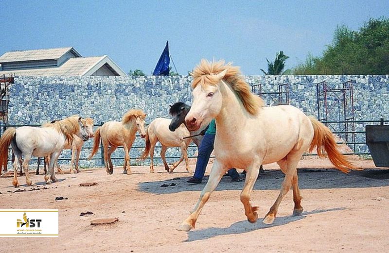 پارک میلیون یرز استون پاتایا