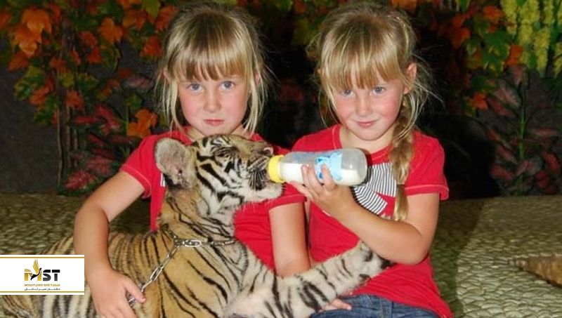 پارک میلیون یرز استون پاتایا