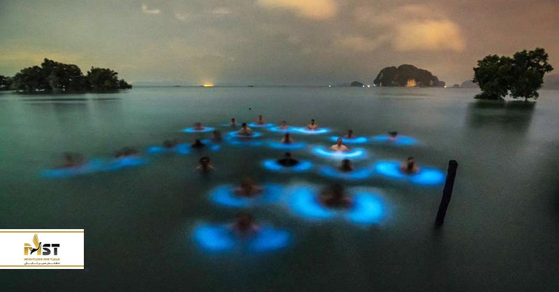 چنبوری پاتایا