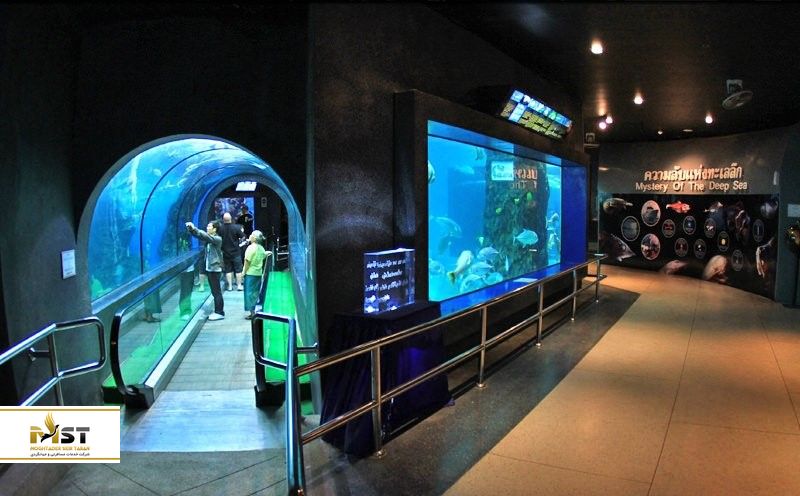aquarium