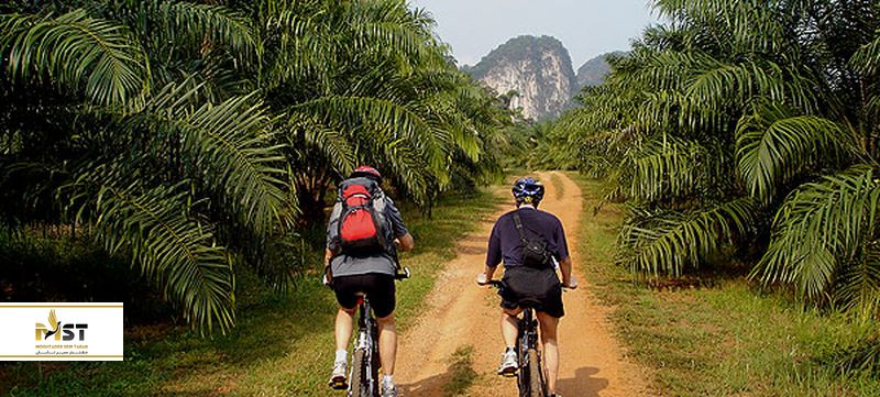 دوچرخه سواری در پوکت