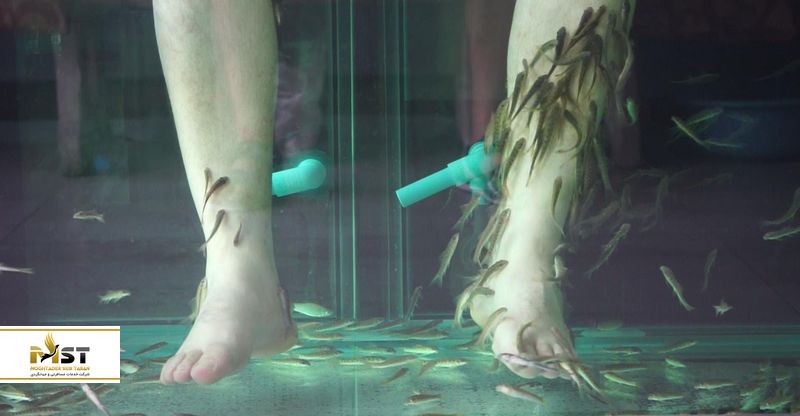 ماساژ درمانی در پوکت