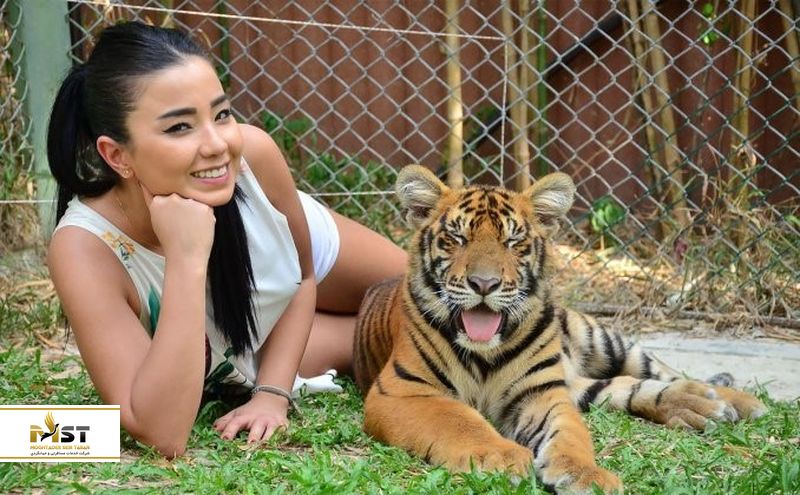 قلمرو ببرها در پوکت