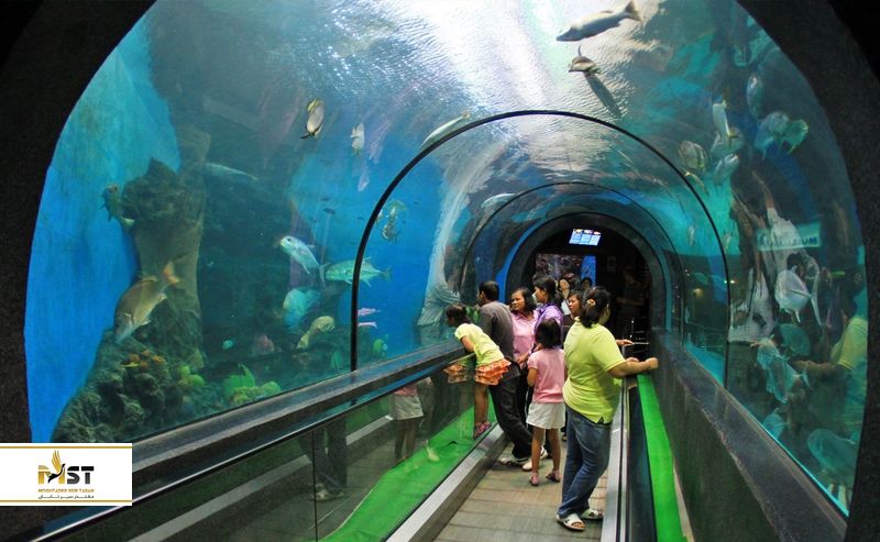 آکواریوم پوکت