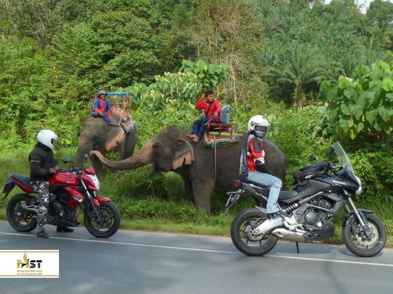 موتور سیکلت در پوکت