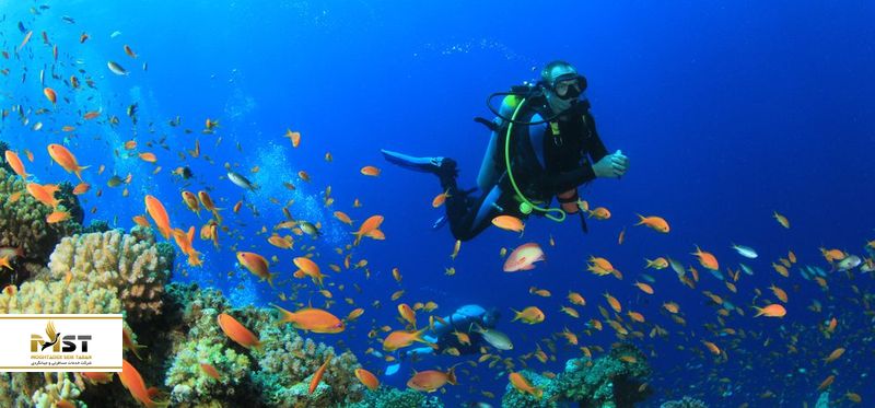 غواصی درساموئی