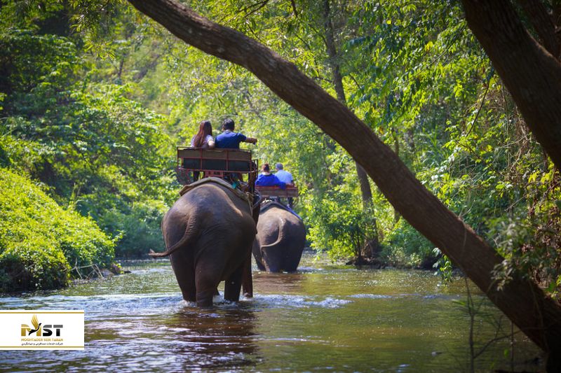 فیلبانی ساموئی