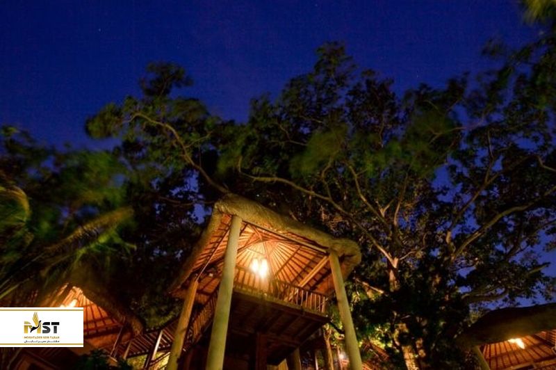 رستوران Tree tops