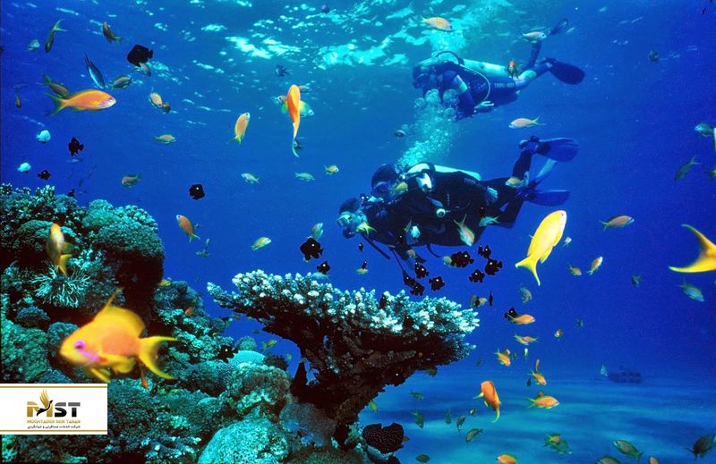 جزیره پانگان