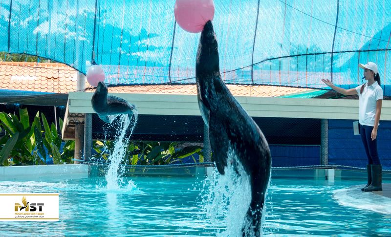 آکواریوم سامویی