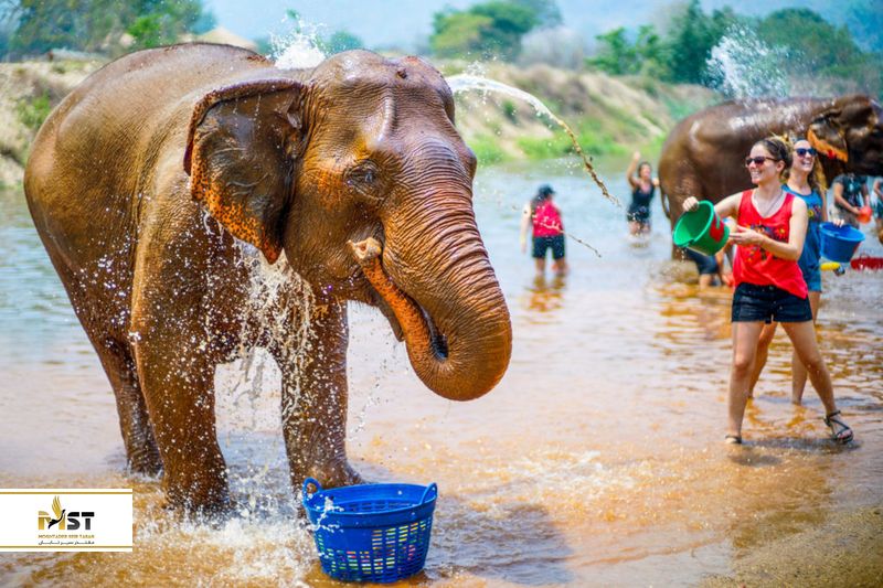 اولین سفر به تایلند