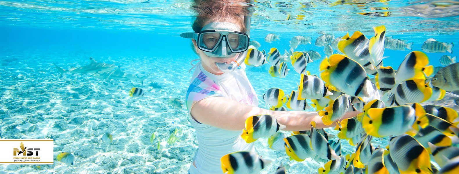 غواصی زیر آب در تایلند