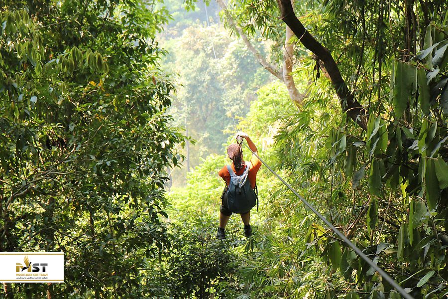 زیپ لاین در تایلند