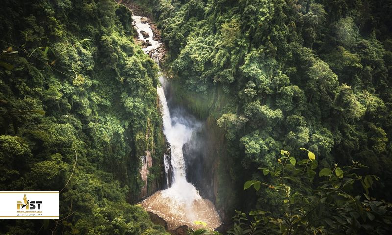 Dong Phayayen-Khao Yai Forest Complex