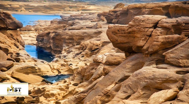 sam-phan-bok-micky-mouse