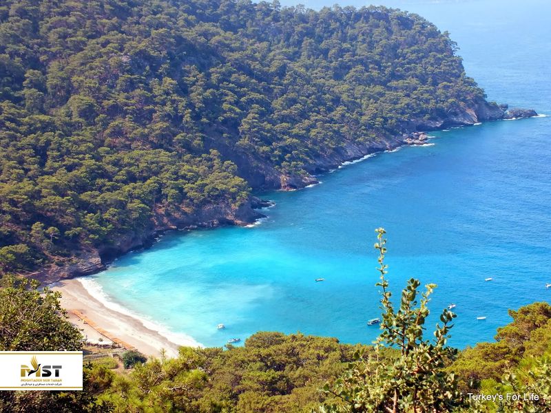  Kabak