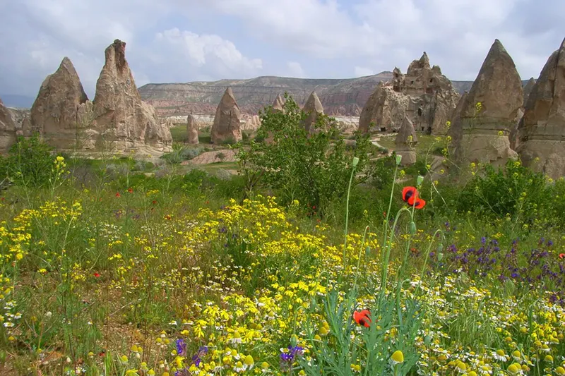 منظره بهاری زیبا در کاپادوکیا با دشت پر از گل&zwnj;های وحشی رنگارنگ و دودکش&zwnj;های جن در پس&zwnj;زمینه