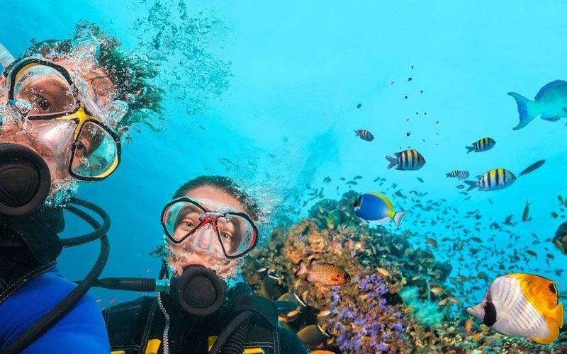 این شهر ساحلی یکی از بهترین جاهای ترکیه برای غواصی به&zwnj;حساب می&zwnj;آید. اگر غواصی بلد نیستید، نگران نباشید. می&zwnj;توانید در دوره&zwnj;های آموزشی شرکت کنید و بعد غواصی کنید. تورهای غواصی مارماریس معمولاً از ساعت ۹ صبح شروع می&zwnj;شوند و تا عصر ادامه پیدا می&zwnj;کنند.