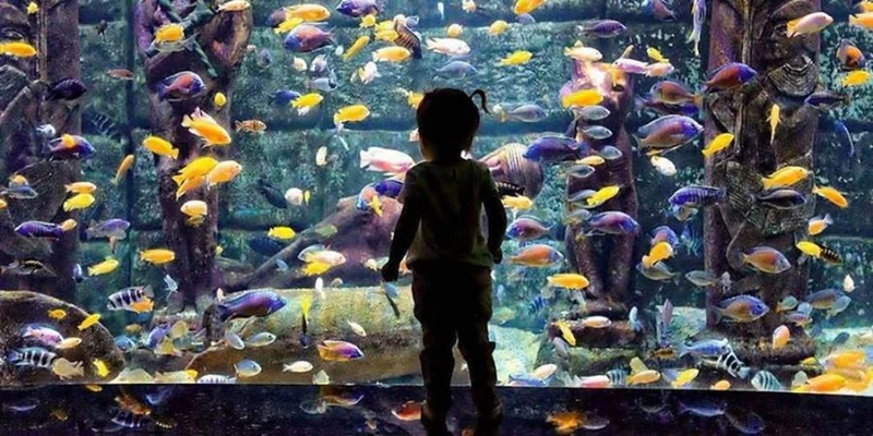 لذت&zwnj;بردن کودکان از انواع ماهی&zwnj;های آکواریوم آنتالیا