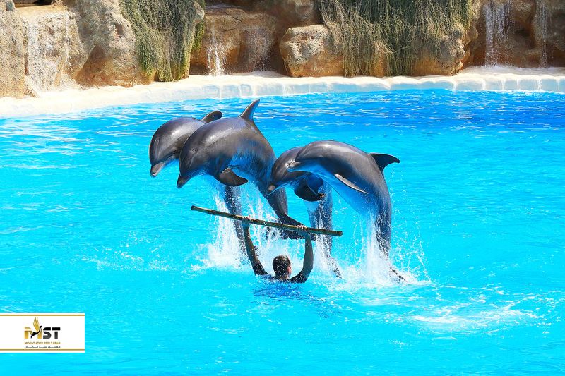 پارک آبی آکوالند آنتالیا