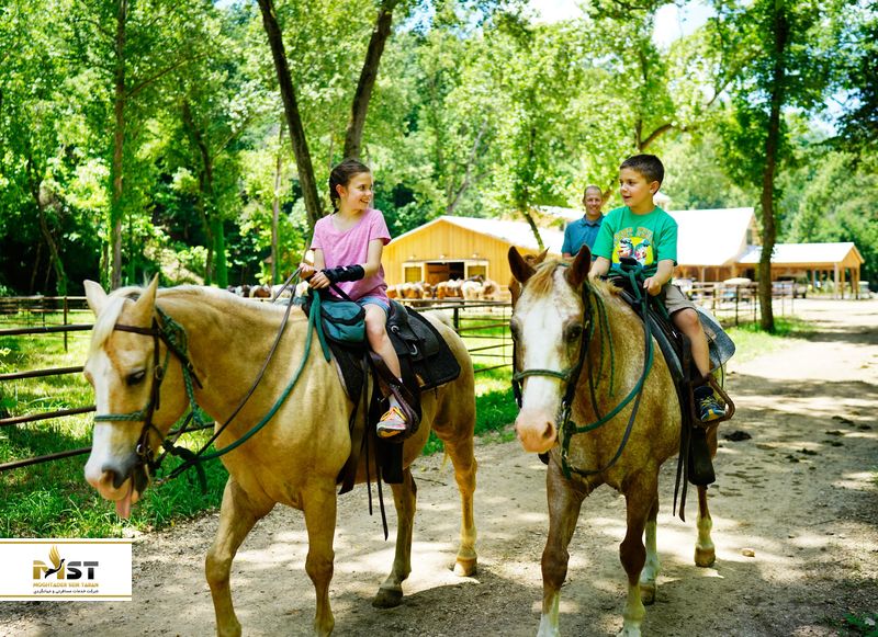 K&ouml;pr&uuml;l&uuml;