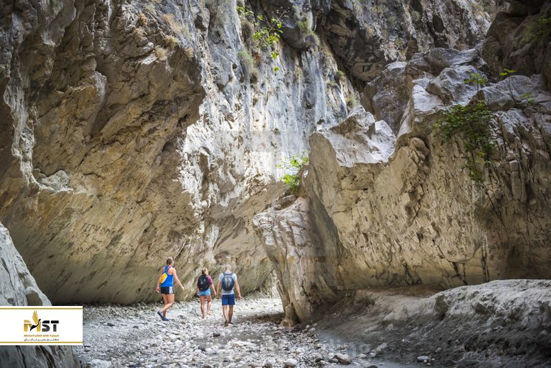 پارک ملی ساکلیکنت