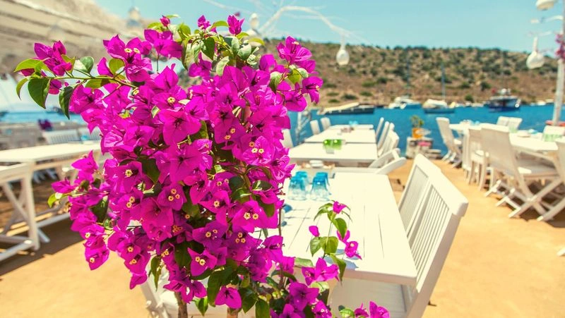 فصل بهار در بودروم از ماه مارس شروع می&zwnj;شود و تا ماه مِی (۱۰ اسفند تا ۱۰ خرداد) ادامه پیدا می&zwnj;کند. بهار یکی از زیباترین و معتدل&zwnj;ترین فصول سال در این شهر ساحلی است.