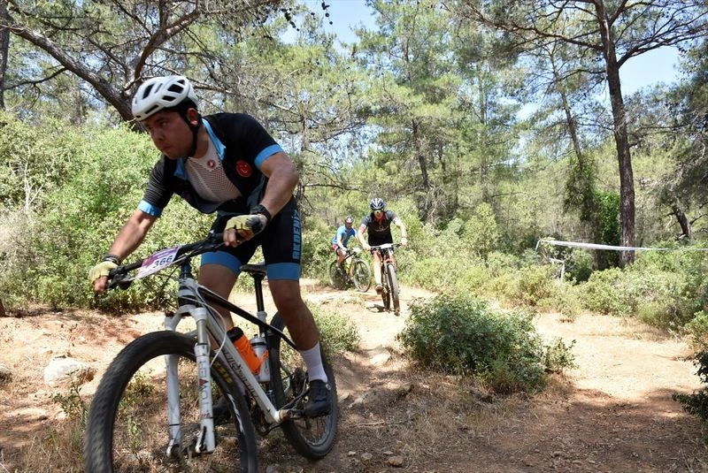 ازجمله مهم&zwnj;ترین فستیوال&zwnj;های بهاری می&zwnj;توان به جشن روز خضر، نوروز و جشن زعفران اشاره کرد. در پاییز، جشن&zwnj;های زیادی مانند افزایش تعداد قوچ&zwnj;ها و فستیوال&zwnj;های دیگر در بودروم برگزار می&zwnj;شود. در زمستان نیز جشن&zwnj;های خاصی مانند جشن سال نو و فستیوال انقلاب زمستانی (Solstice) برپا می&zwnj;شود.