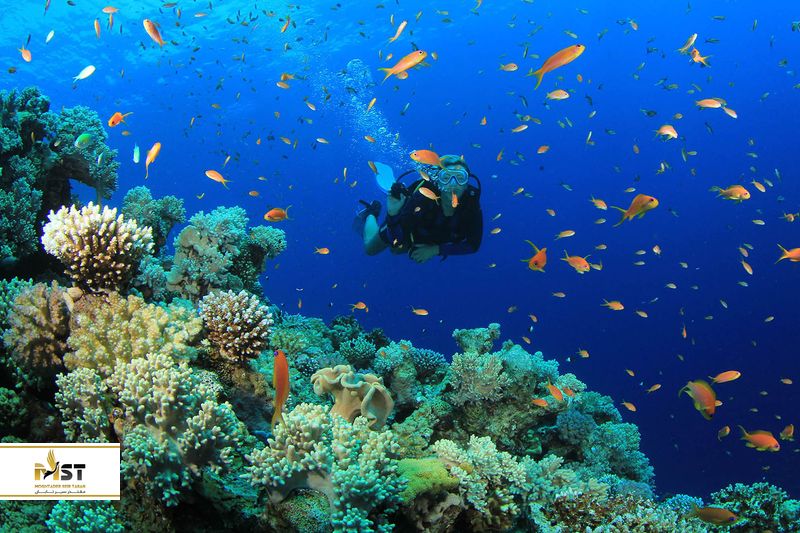 غواصی در بدروم