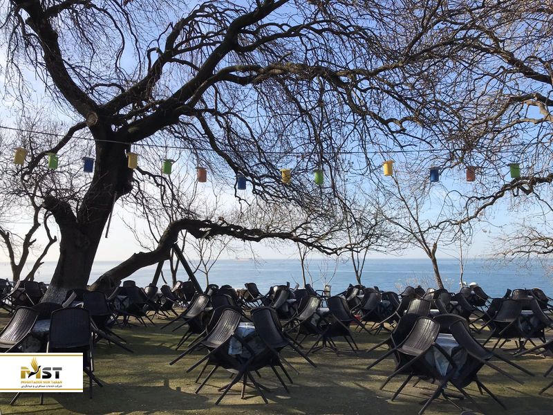  Moda &Ccedil;ay Bah&ccedil;esi